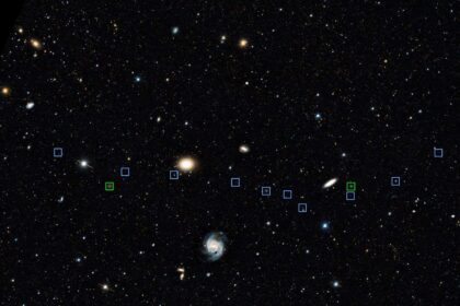 Sei 256196186.jpg