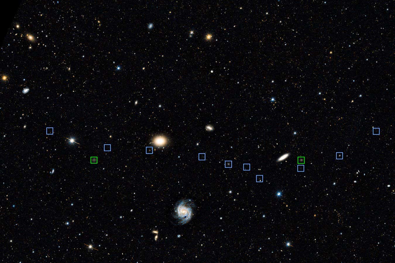 Sei 256196186.jpg