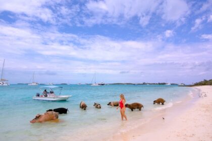 Staniel cay 213 1024x683.jpg