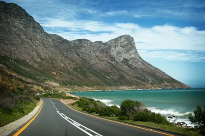 Rooi els 01.webp.webp