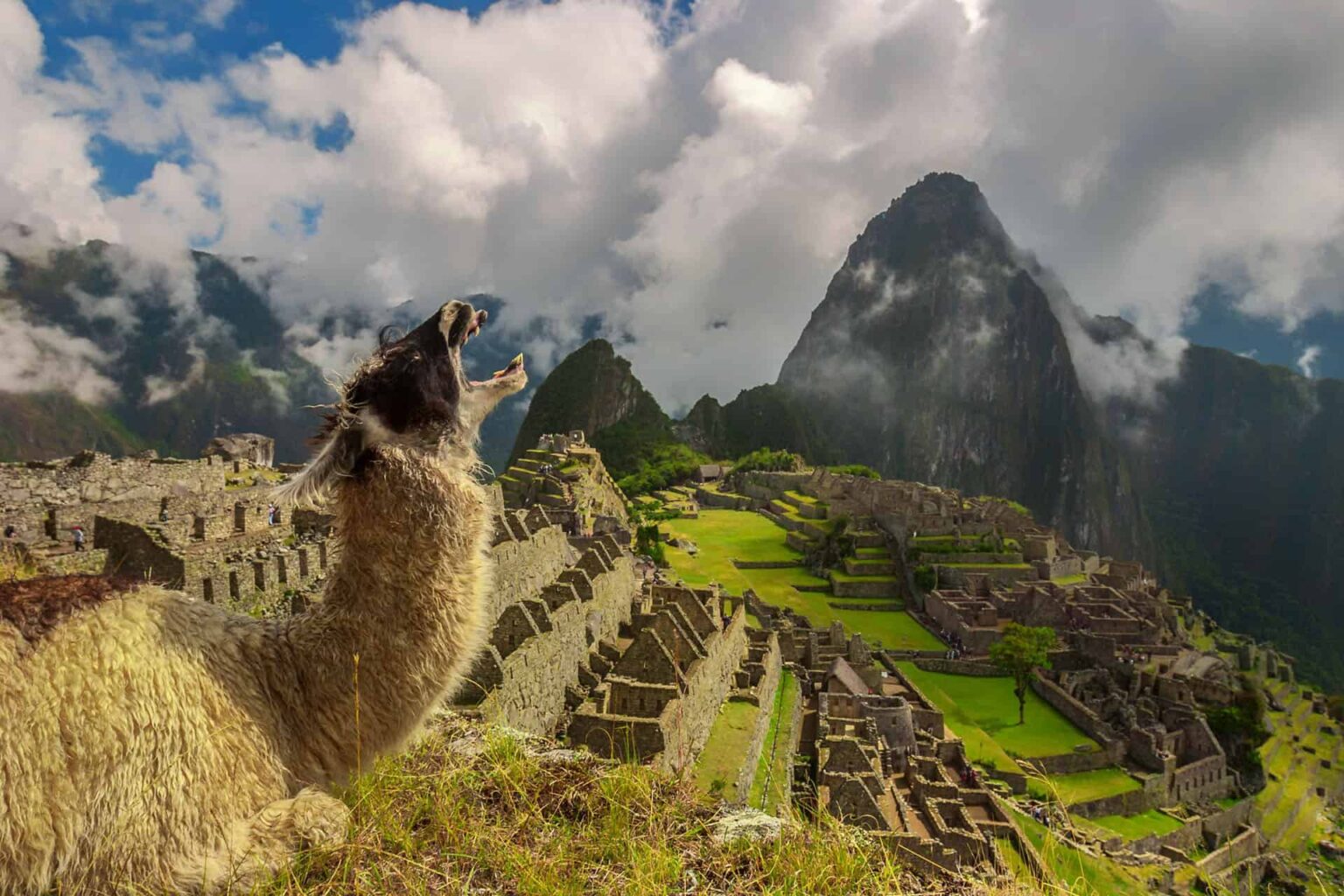 Wonders of the world machu picchu featured.jpg