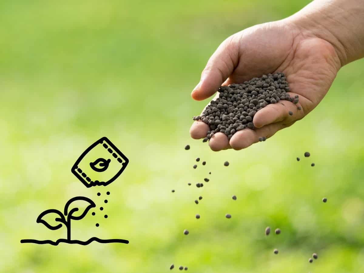 382931 fertiliser.png