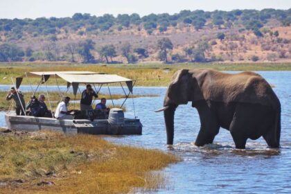 Botswana 1.jpeg