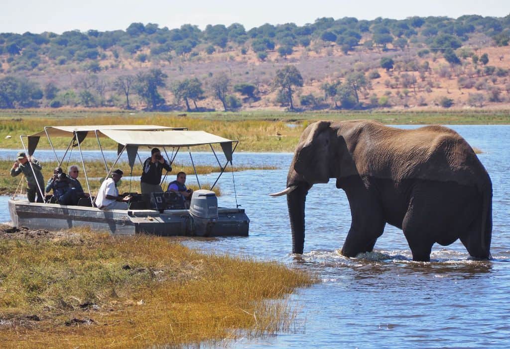 Botswana 1.jpeg
