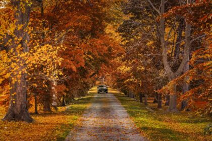 Day trips from toronto 1.jpg