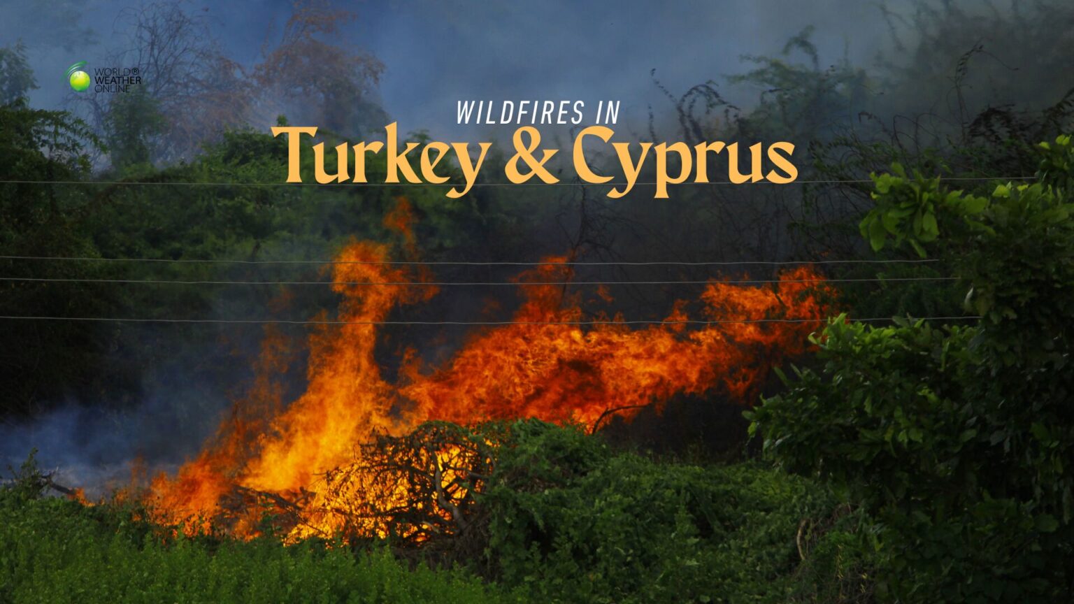 Heatwaves fuelled wildfires in cyprus and turkey.jpg