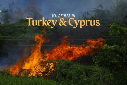 Heatwaves fuelled wildfires in cyprus and turkey.jpg