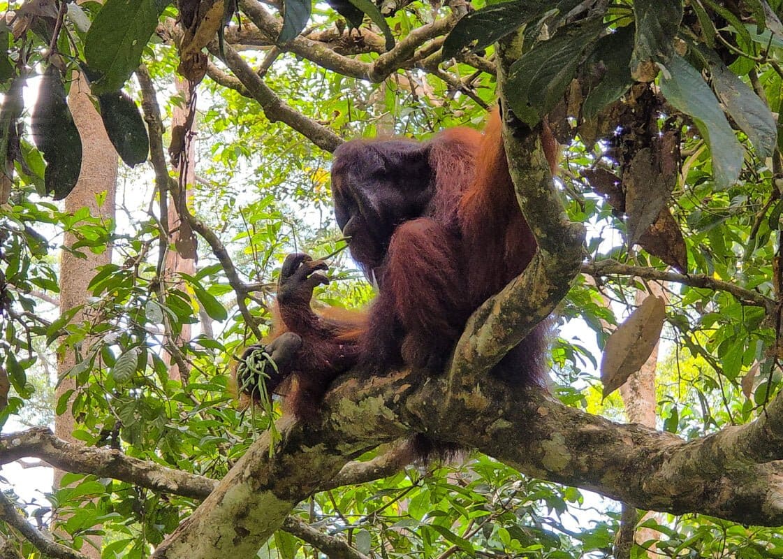 Honeytrek copyright 151438.jpg