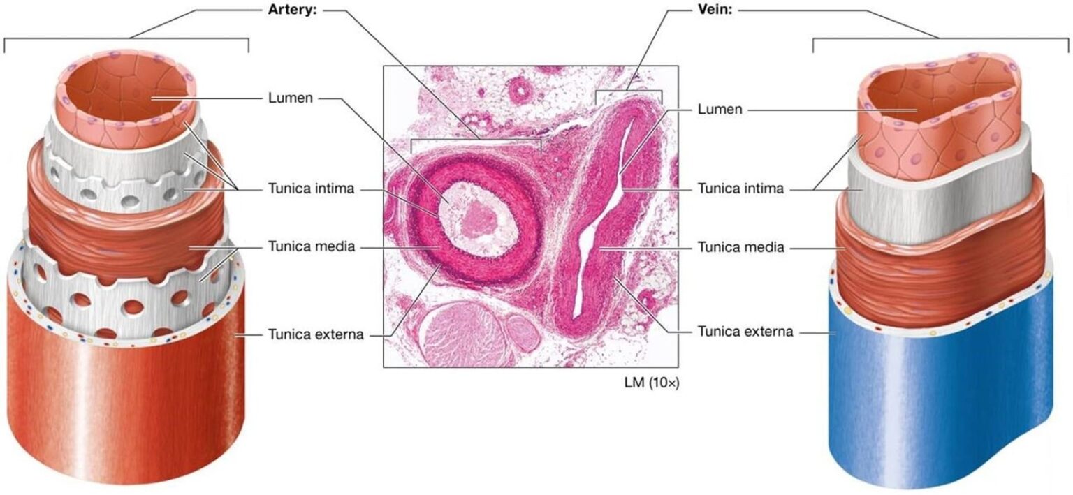 Picture1.jpg