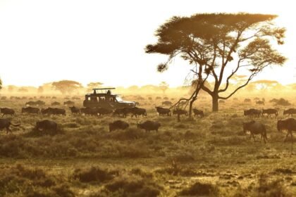Serengeti under canvas cover.jpg