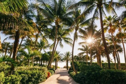 Florida gettyimages 1392098694.jpg