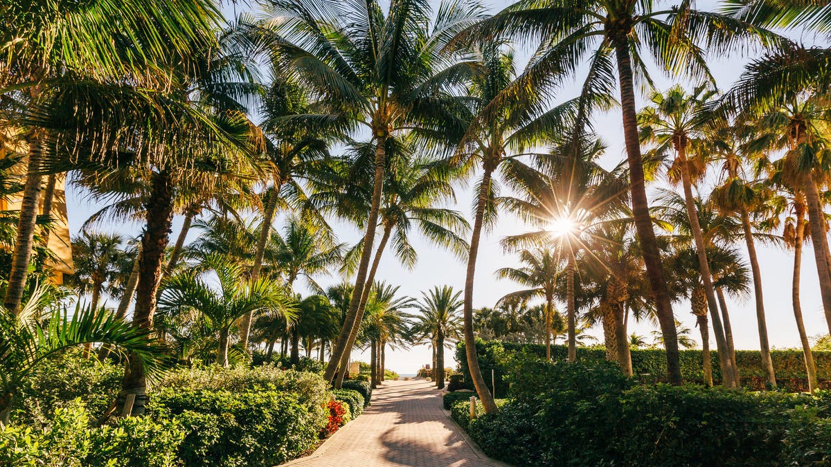 Florida gettyimages 1392098694.jpg