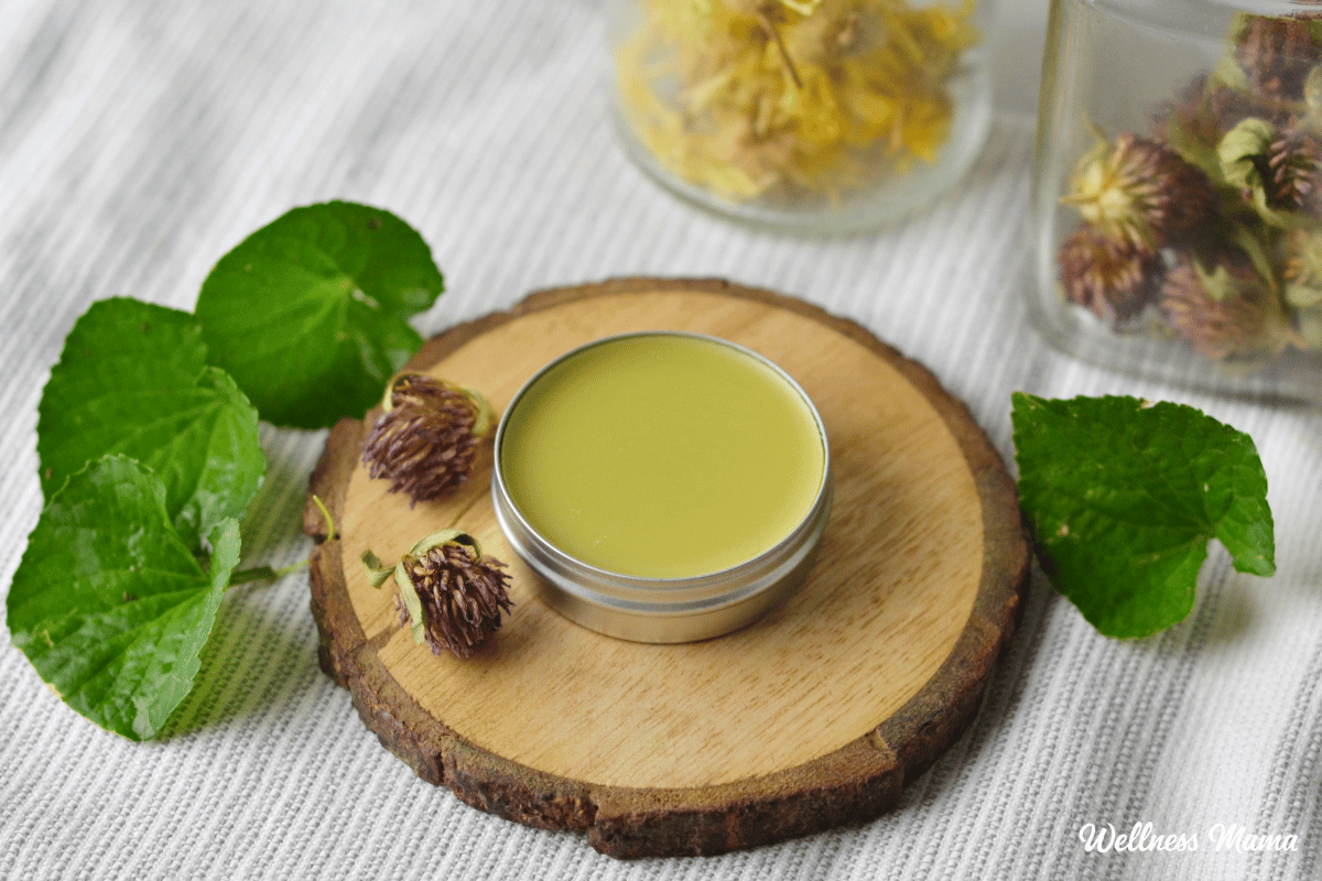 Lymphatic salve.png