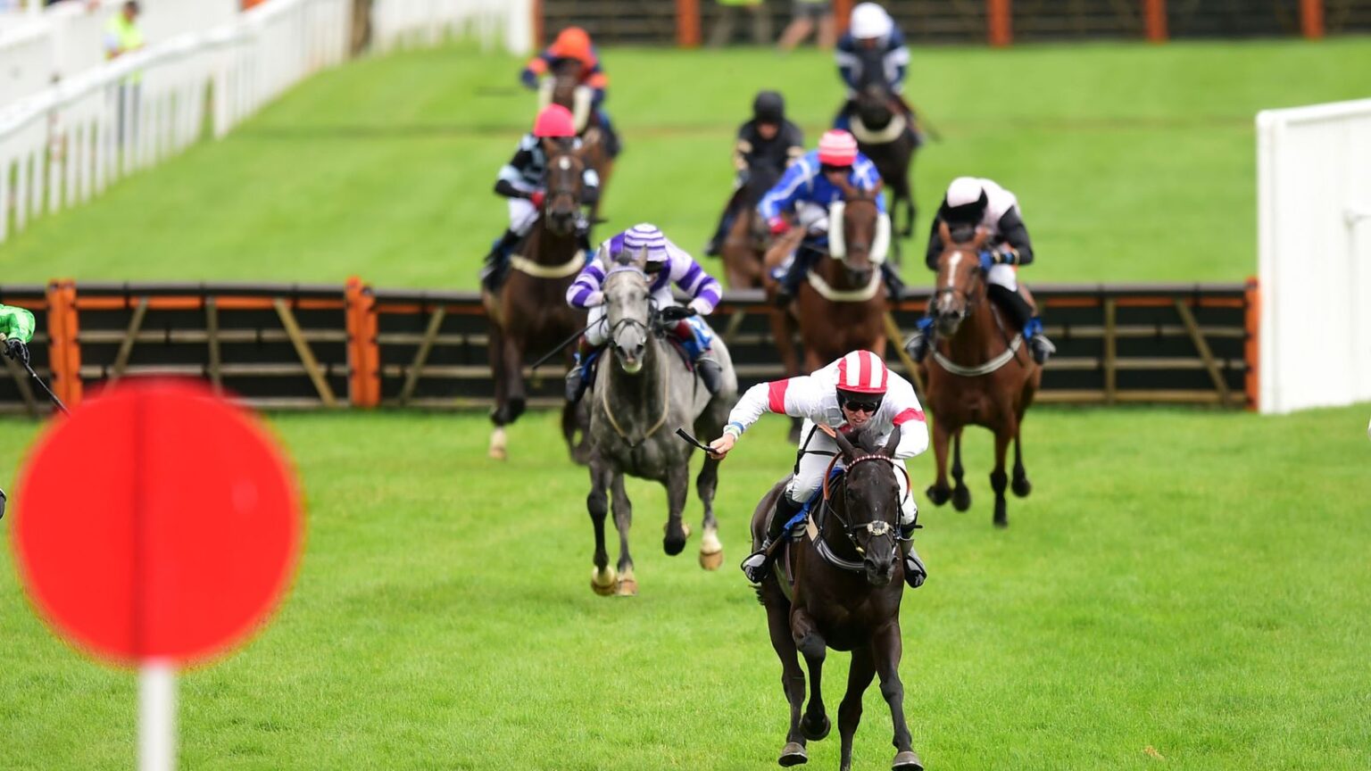 Skysports racing newton abbot 6935163.jpg