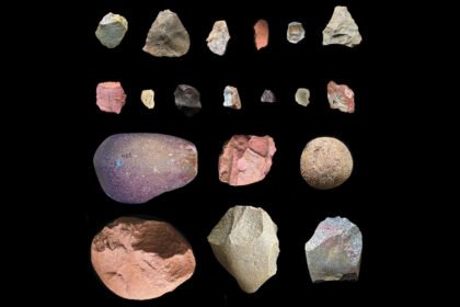 081525 bb hominidtools.jpg