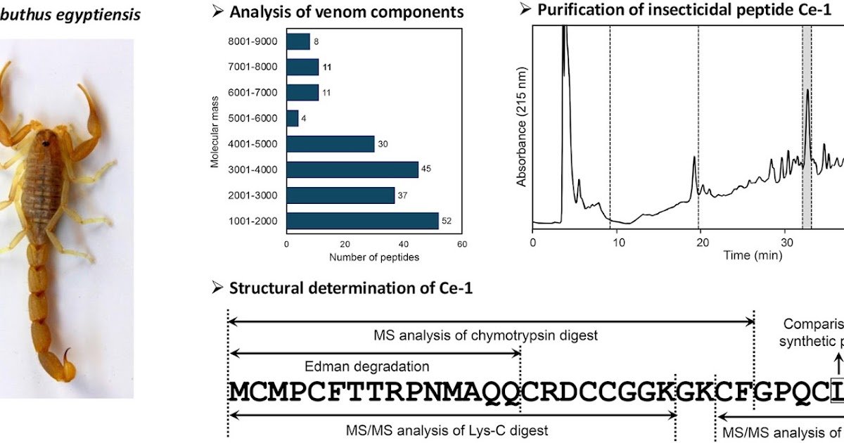 1 s2.0 s0041010125003319 ga1 lrg.jpg