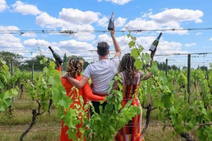 4 wine estates.jpg