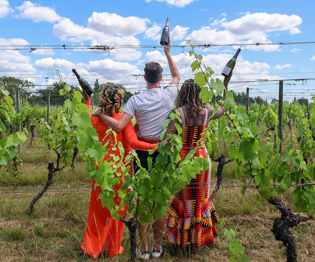 4 wine estates.jpg