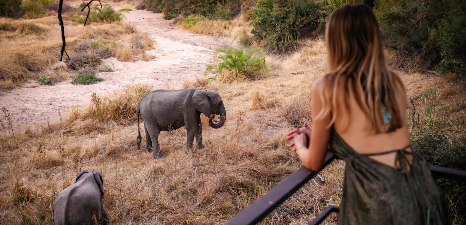 Atlasarc rhinoafrica 18 scaled e1753805106377.jpg