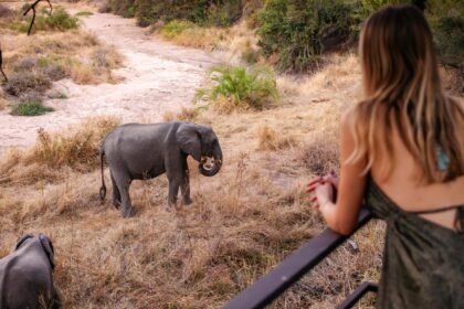 Atlasarc rhinoafrica 18 scaled e1753805106377.jpg