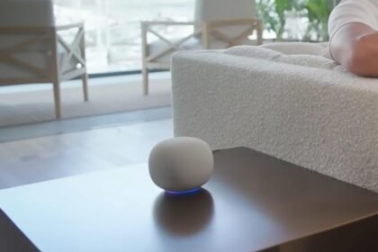 Google home speaker.jpg