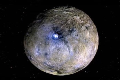 Sei 262720192.jpg