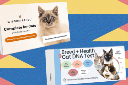 The20best20at home20pet20dna20test20kits20tested20on20my20cats.png