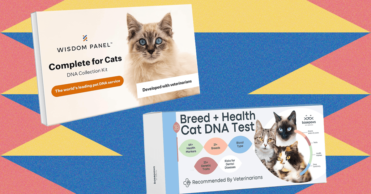 The20best20at home20pet20dna20test20kits20tested20on20my20cats.png