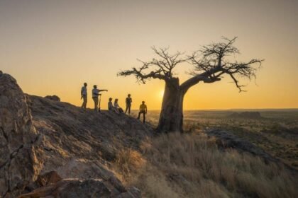 Walking safaris in mashatu game reserve.jpg