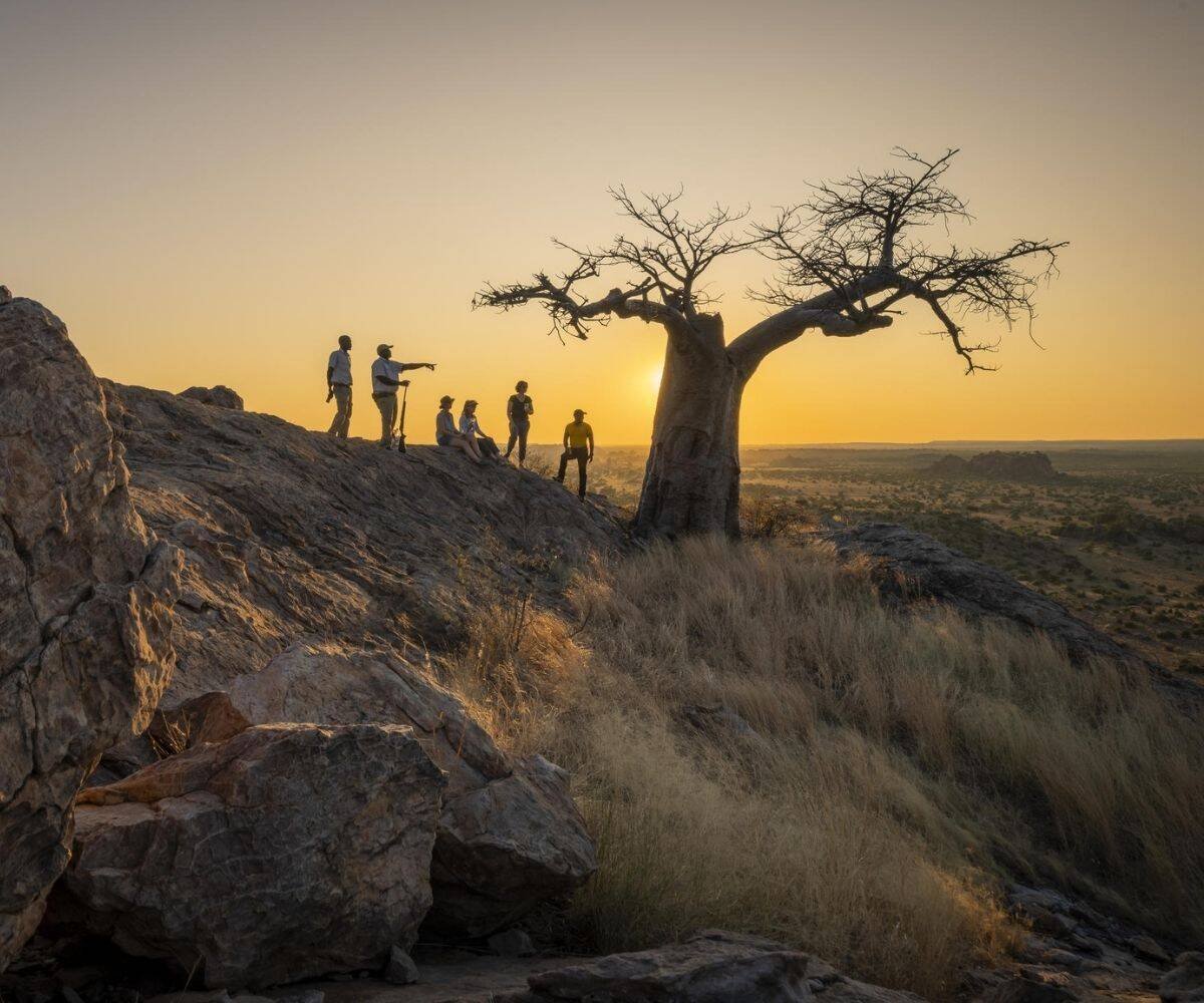 Walking safaris in mashatu game reserve.jpg