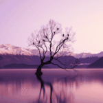 Wanaka tree.png