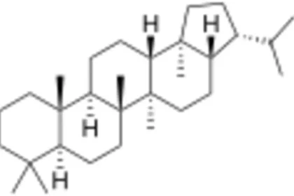 Rect.wikimedia.1710257374913.webp.webp