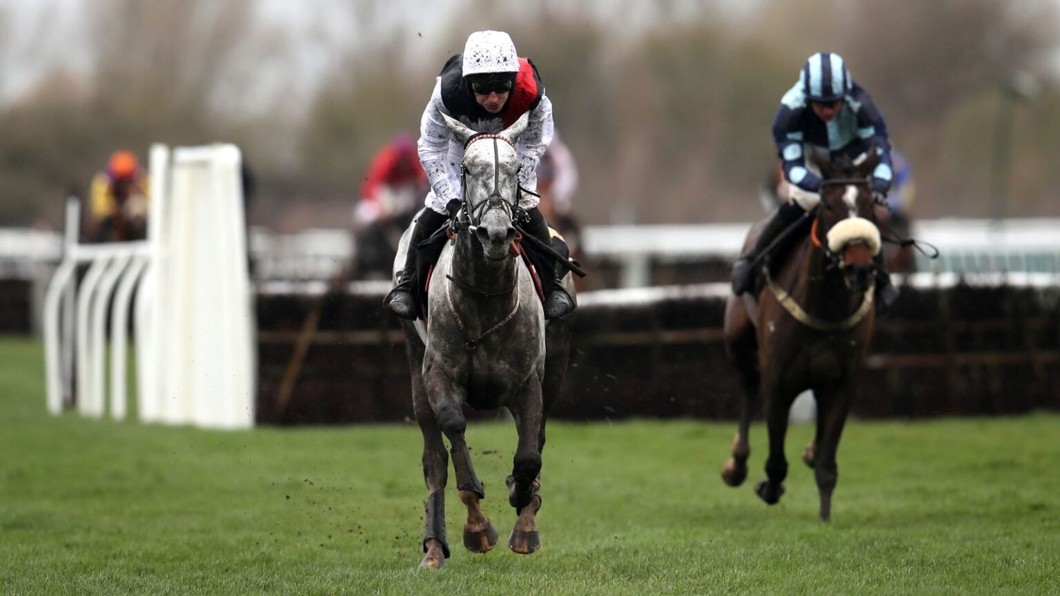 Skysports greyval horse racing 6889136.jpg