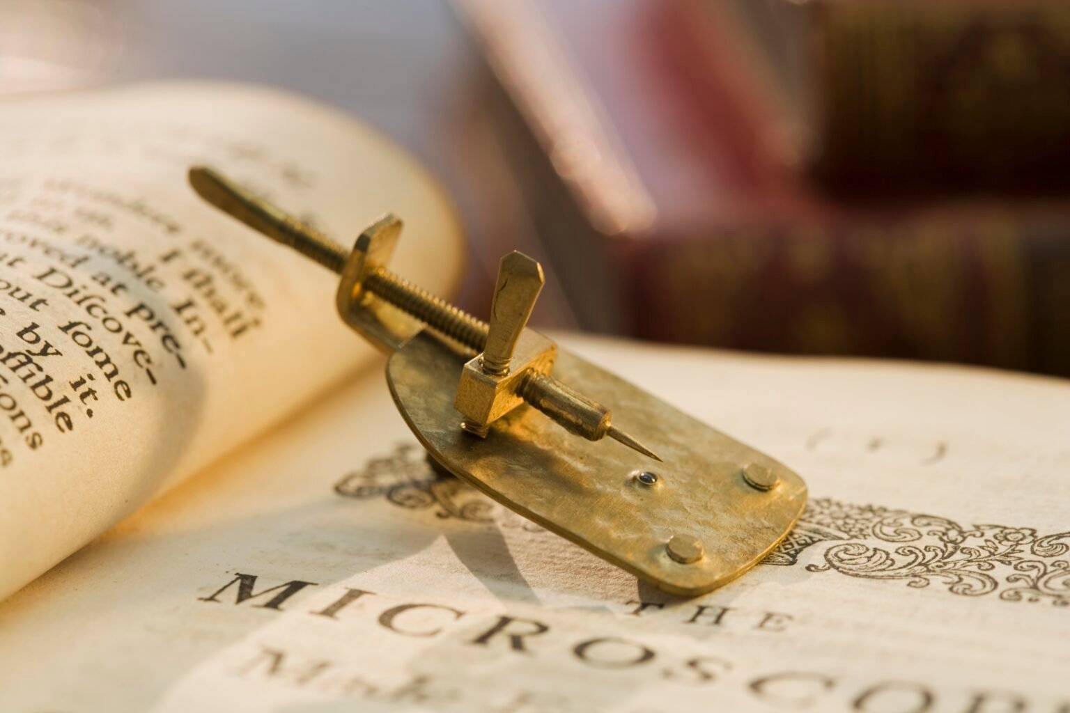 Van20leeuwenhoek20microscope.jpg