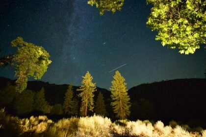 View of perseid meteor shower in california.jpg