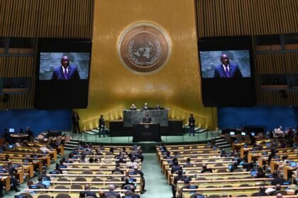 000 33vn6p4 1024x681.jpg