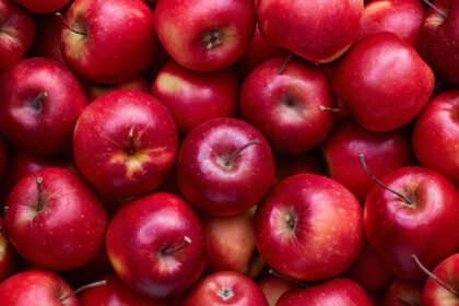 090425 ls colorinbrain.jpg