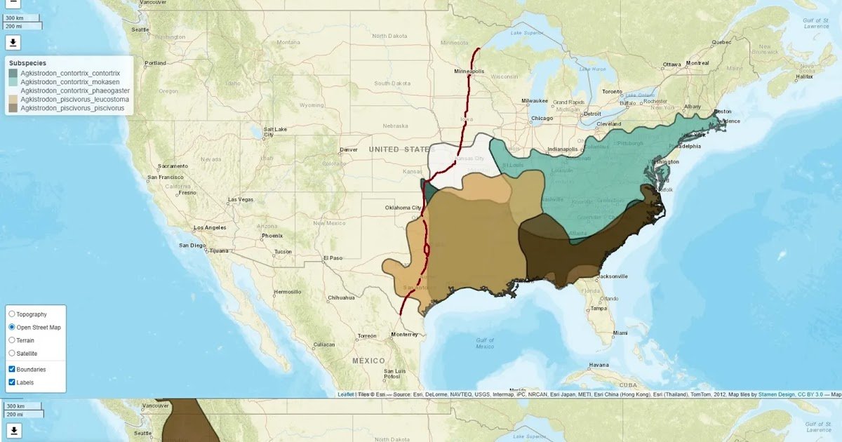 13181 2025 1098 fig1 html.webp.jpeg