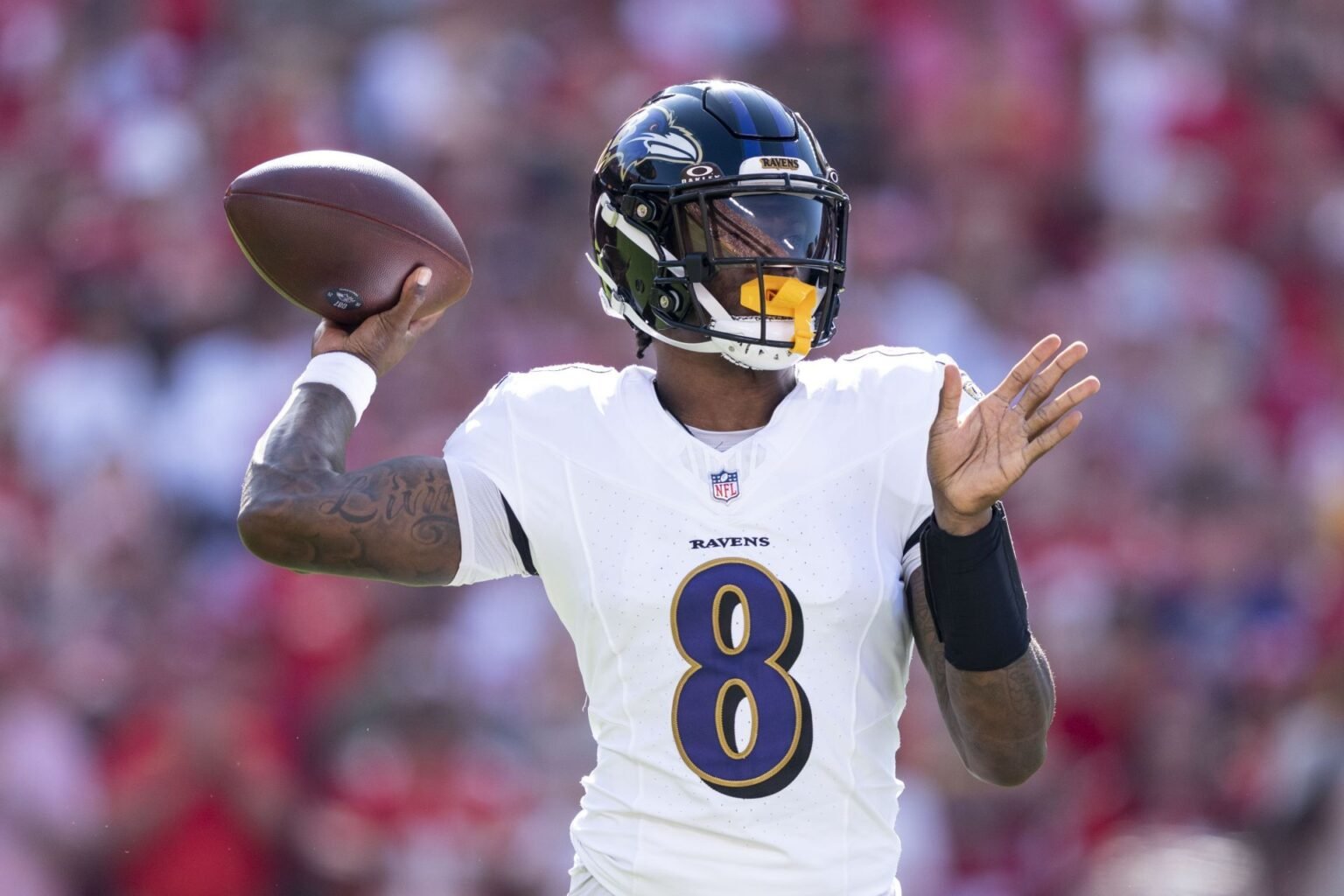 14acd 17591835873644 1920.jpg