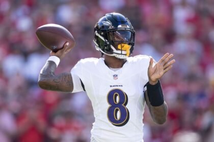 14acd 17591835873644 1920.jpg