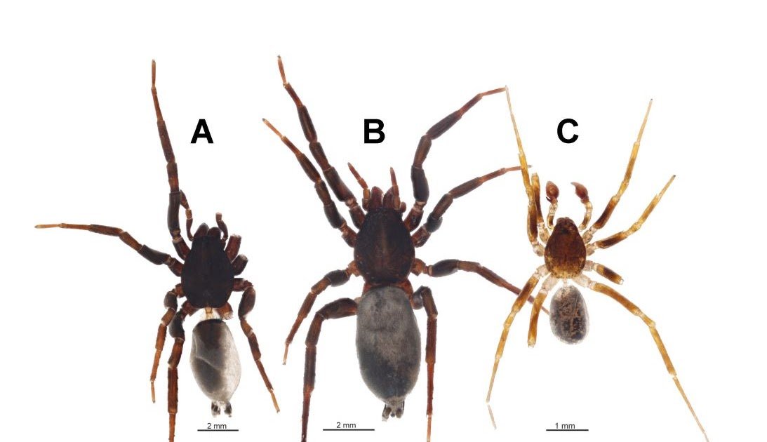 1757719619 capture.jpg