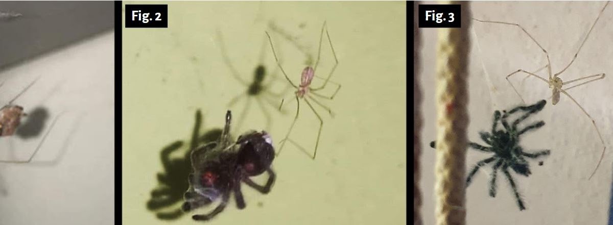 1758369205 capture.jpg