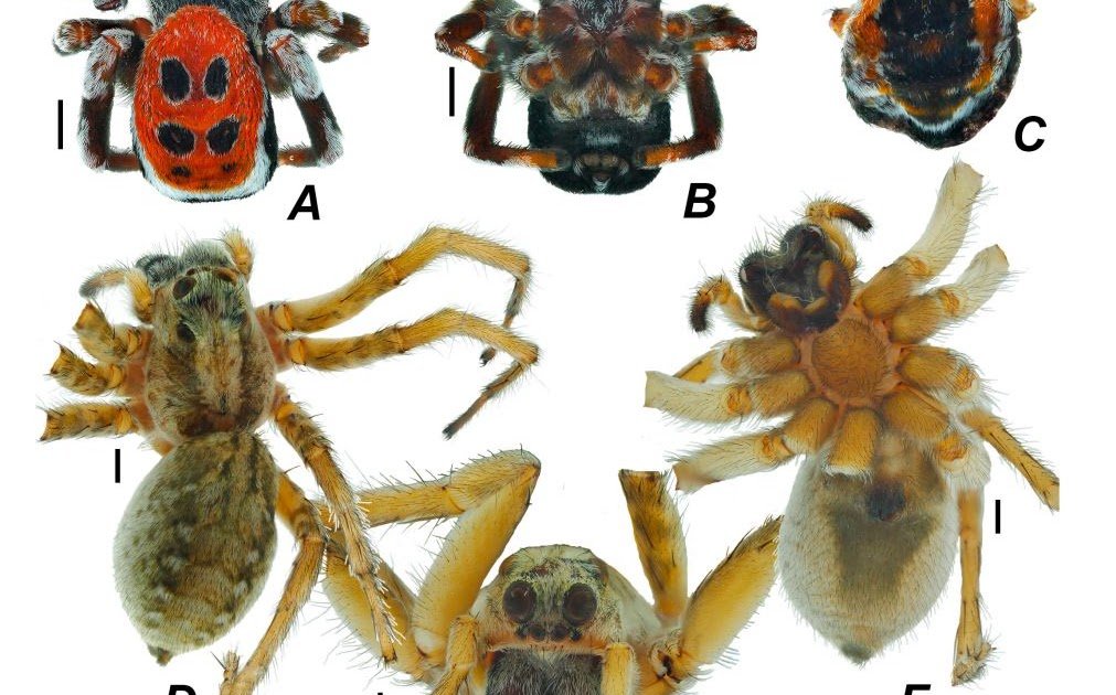 1759062087 capture.jpg