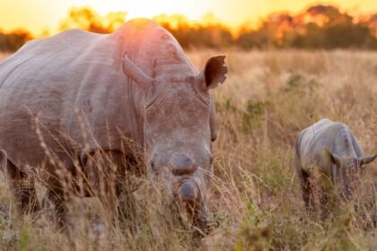 214a3367 scaled e1758312338912.jpg