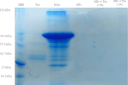 2190 4286 16 115 1.png