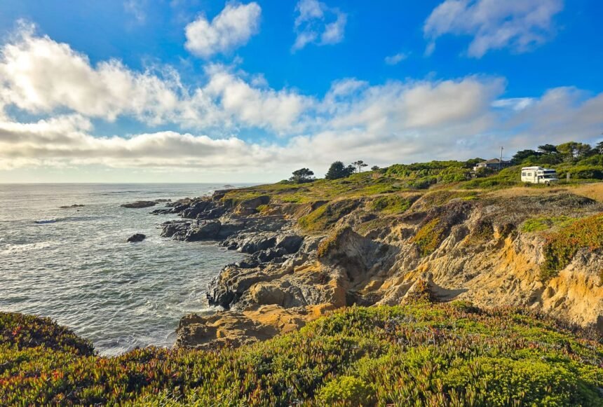 Copyright honeytrek 483.jpg