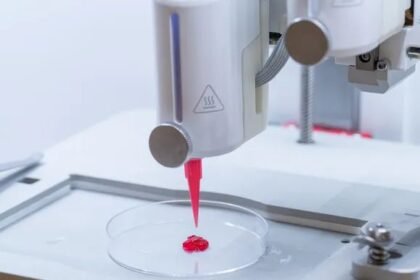 Danielaili johanjunker 2025 liu 5136.jpeg