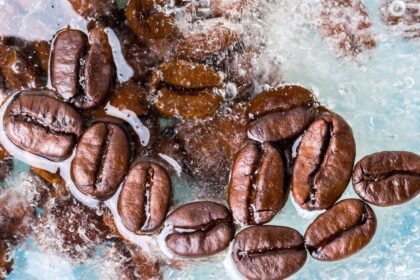 Gettyimages 801241722.jpg