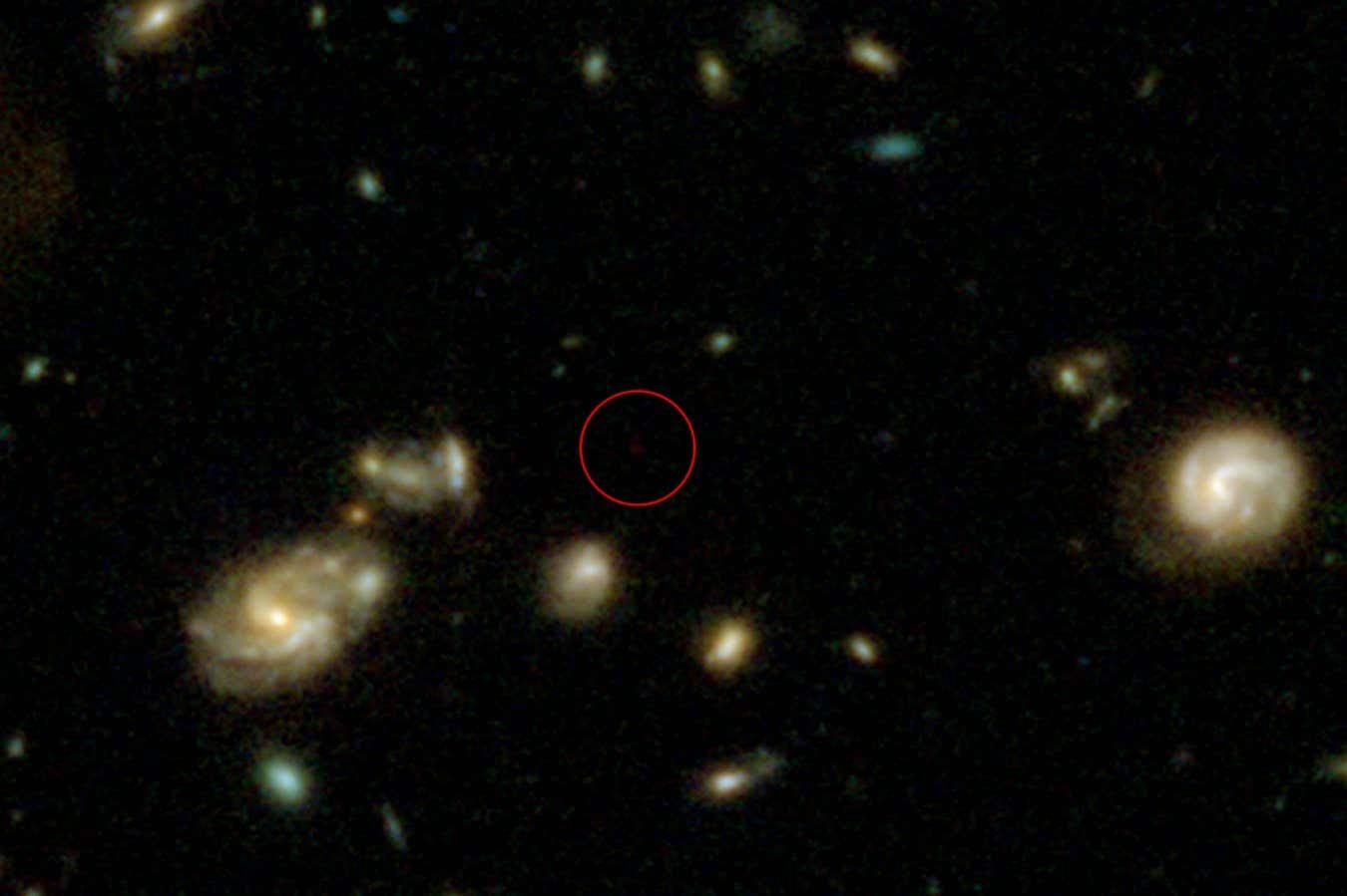 Sei 264756217.jpg