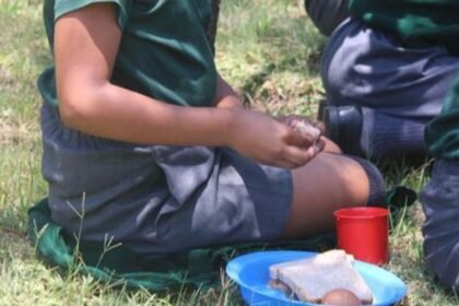 Untitled design 5.jpg